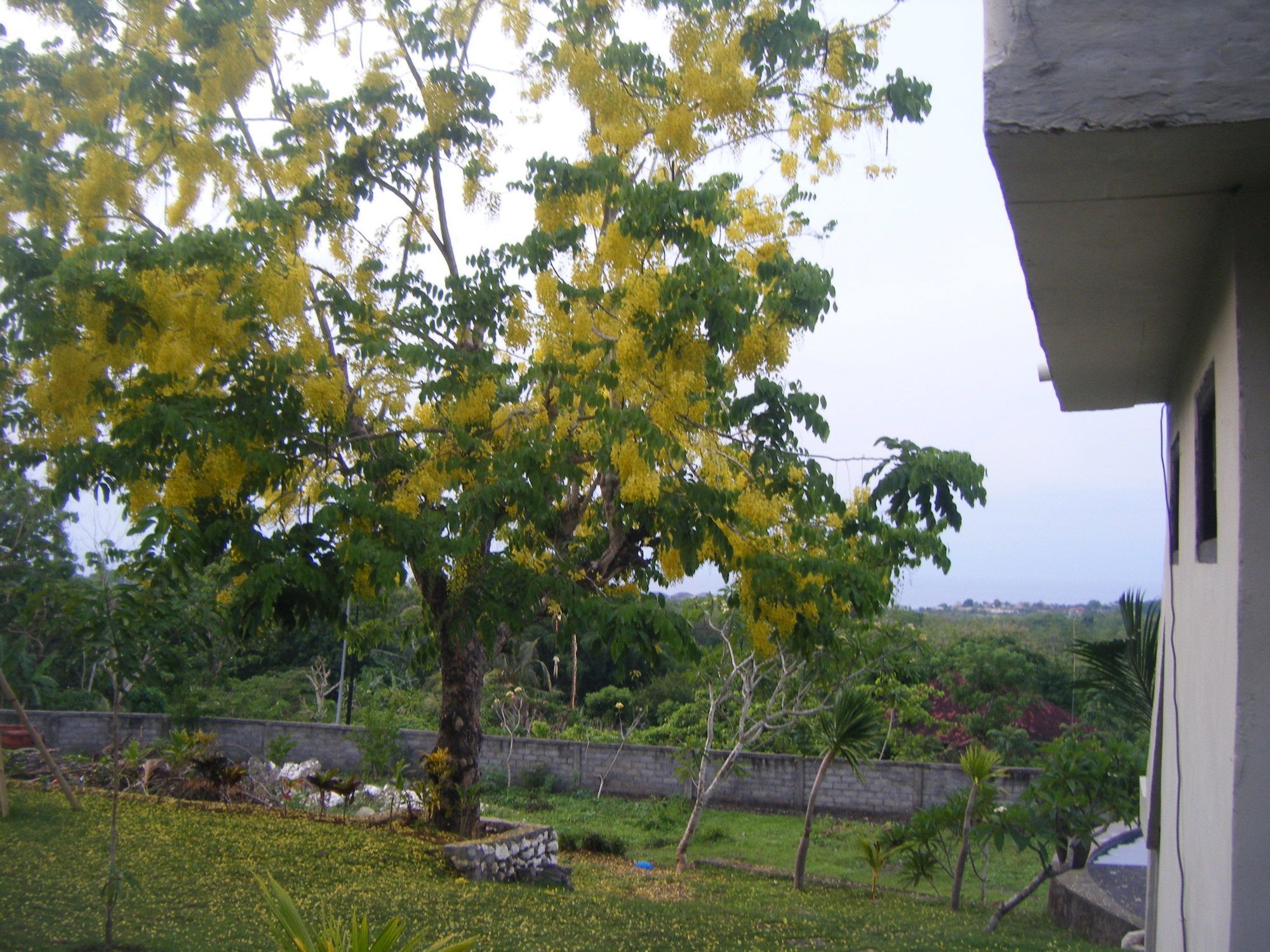 3D Homestay Pecatu Exterior foto