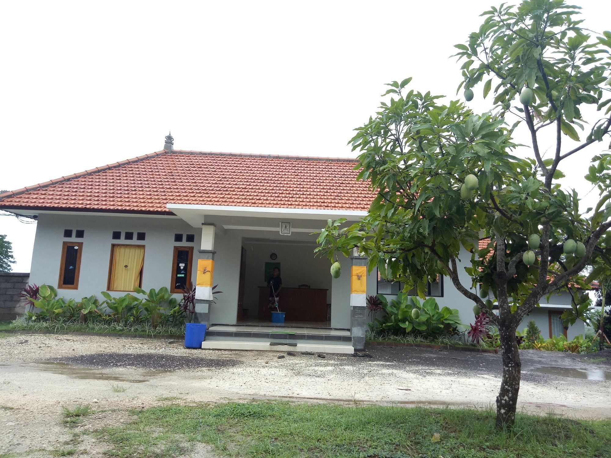 3D Homestay Pecatu Exterior foto
